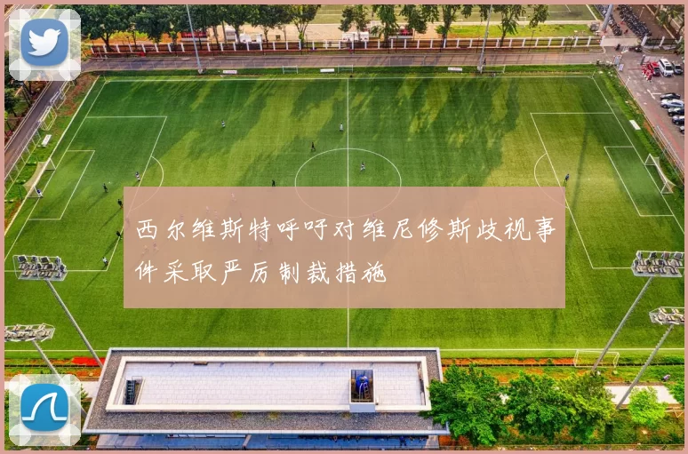 西尔维斯特呼吁对维尼修斯歧视事件采取严厉制裁措施